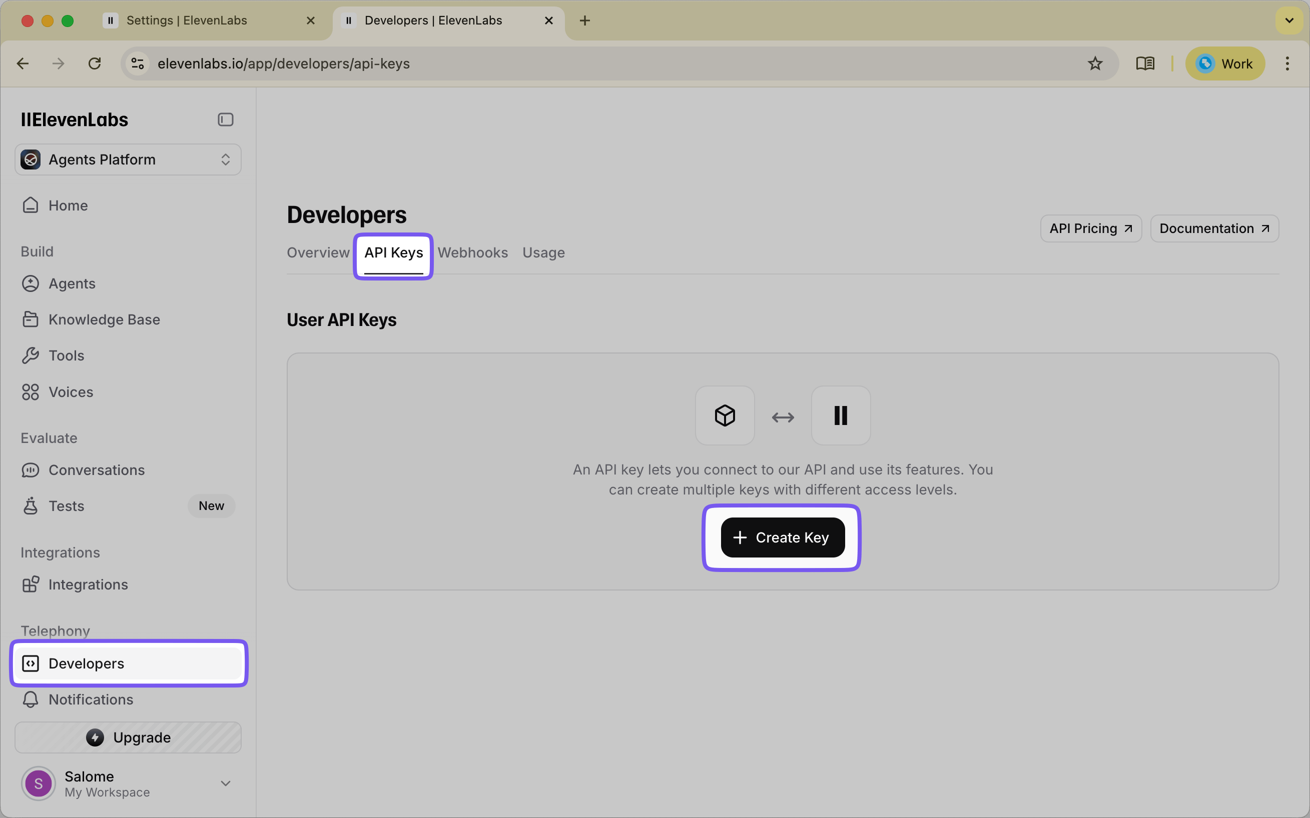 ElevenLabs Dashboard showing Developers sidebar and API Keys tab